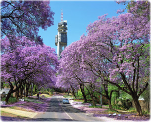 Pretoria