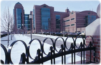 University Illinois