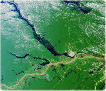 Amazon River, Brazil