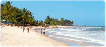 Beach Bahia