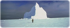 Iceberg