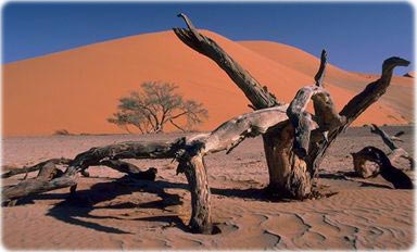 Namib Desert