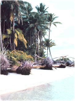 Palau