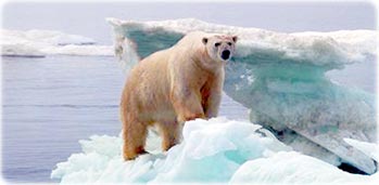 Arctic