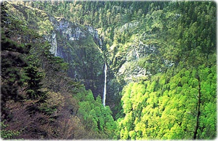 Bosnia and Herzegovina