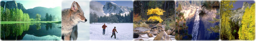 Images Yosemite