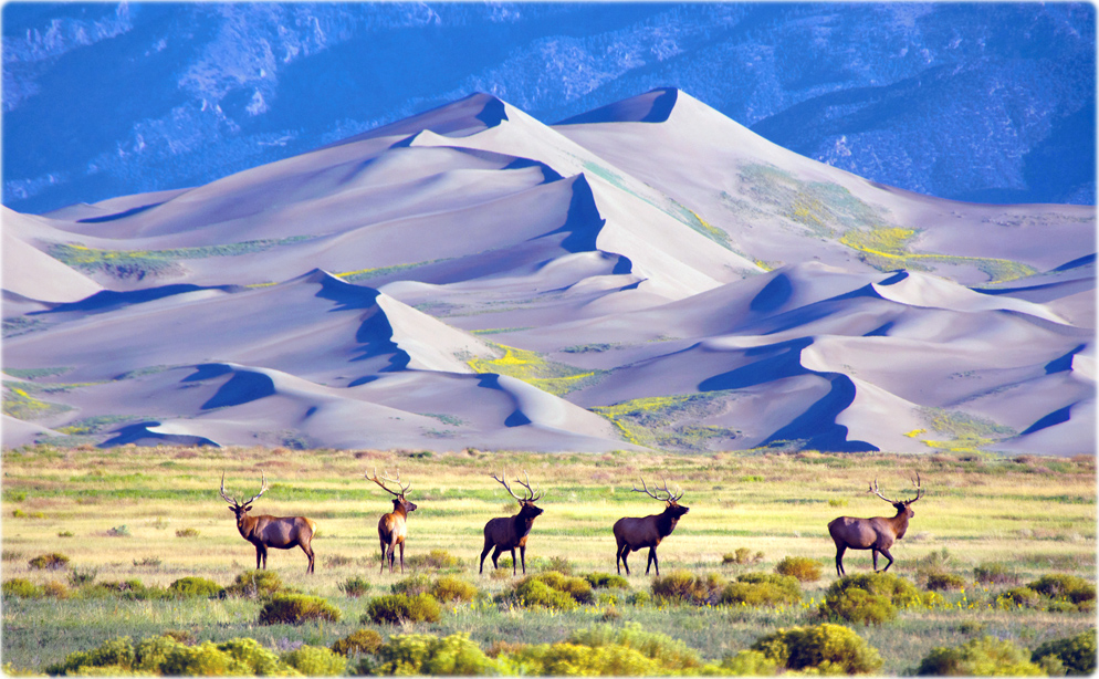 Great Sand Dunes National Park