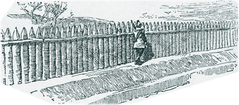 Palisade