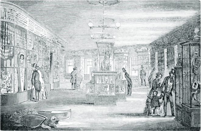 Museum exhibition