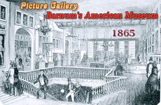 Picture Gallery