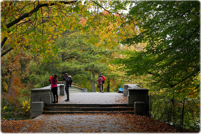 Bridge Prospect Park