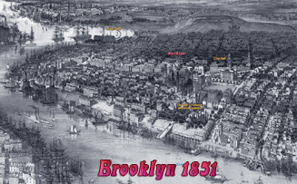 Brooklyn 19th century