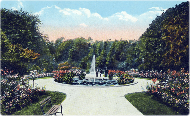 Rose Garden