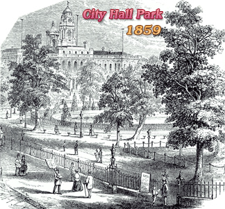Park NYC