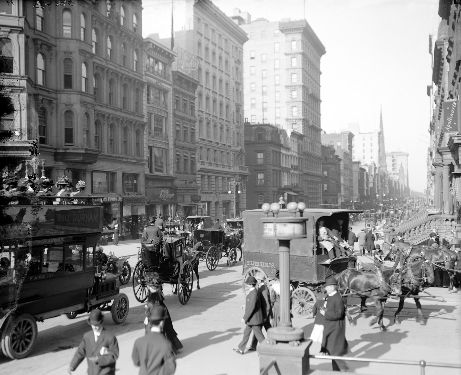 Fifth Avenue people