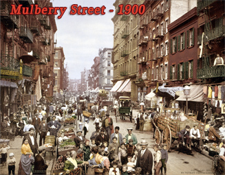 Mulberry st