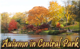 Autumn Central Park