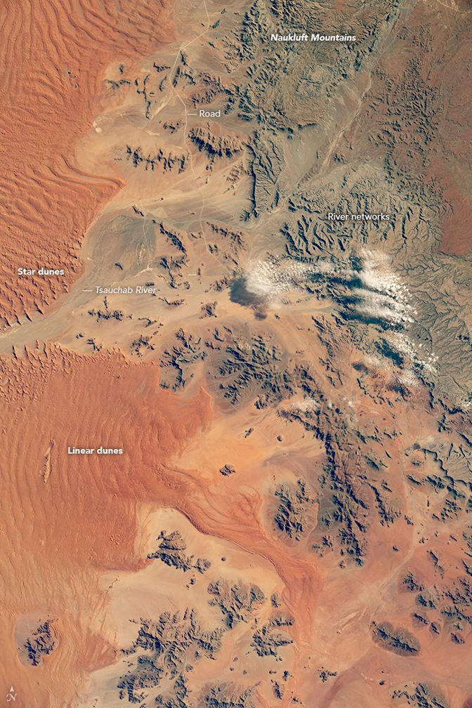 Namib Desert