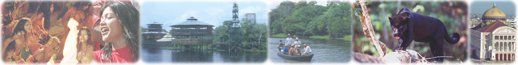 Images Amazonas