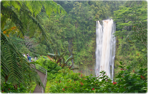 Hilo falls