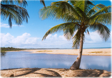 Bahia Coast