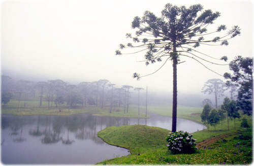 Serra da Bocaína