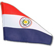 Flag Paraguay