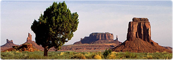 Rocks