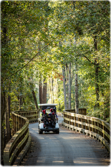 Altamaha
