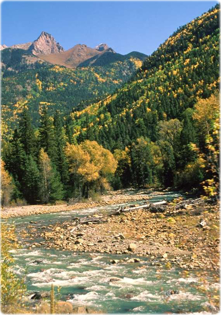 Animas River