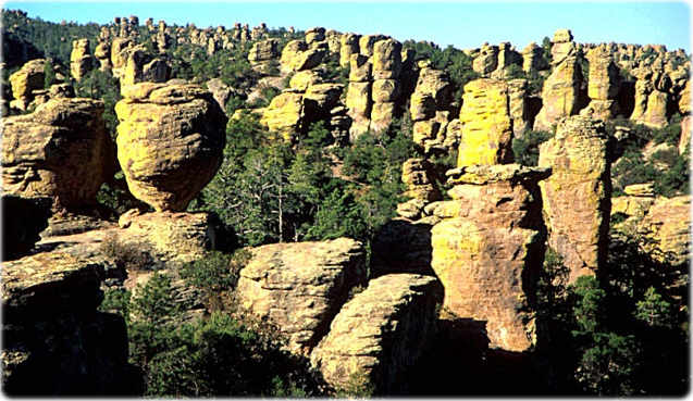 Chiricahua