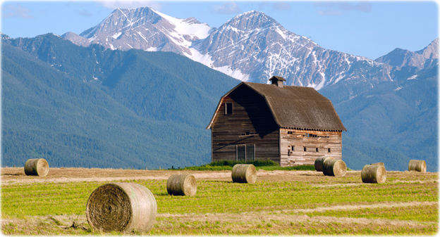Farmland