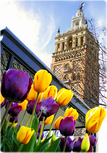 Giralda Tower