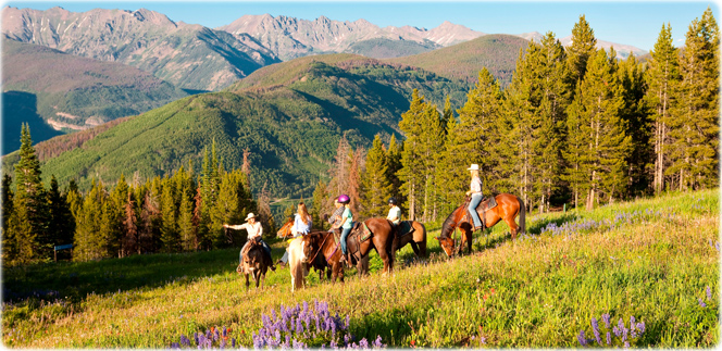 Horseback Tour