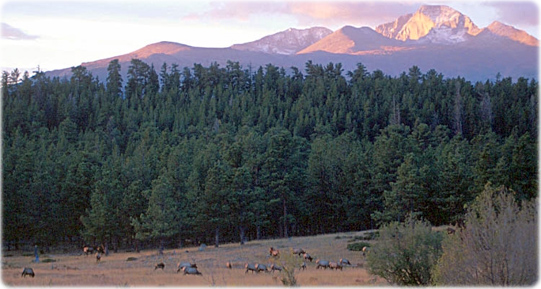 Longs Peak