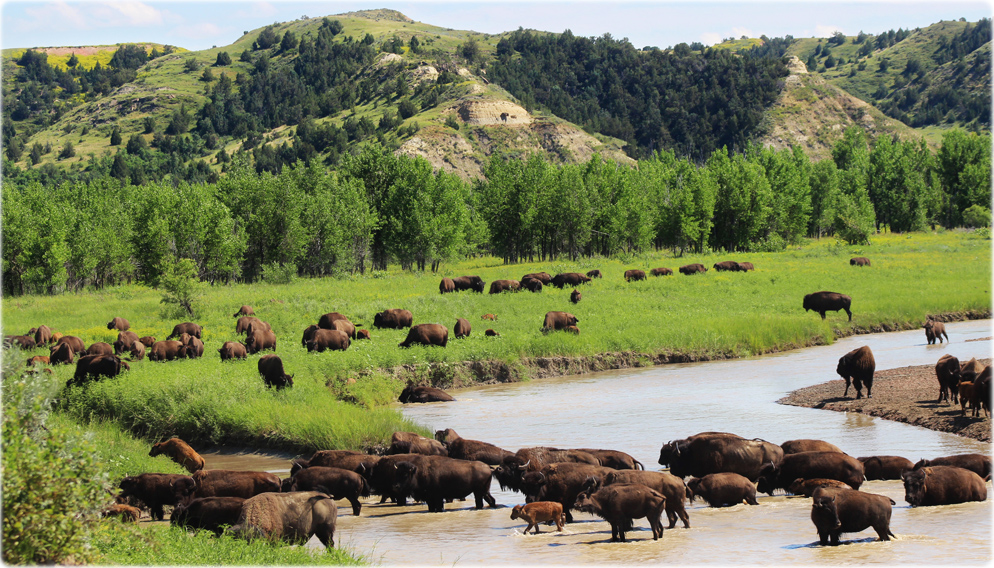 North Dakota