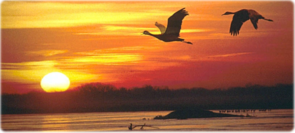 Platte river