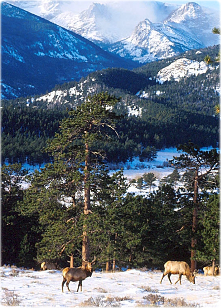 Rocky Moutain