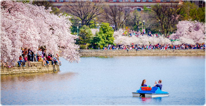 Tidal Basin