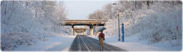 Winter Minneapolis