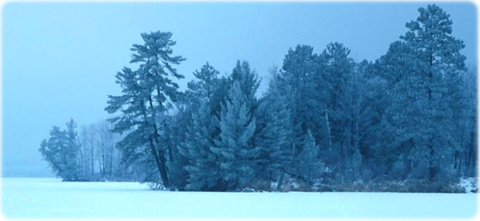 Winter scene