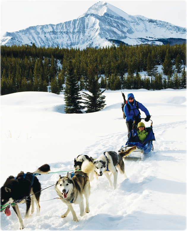 Dog sledding