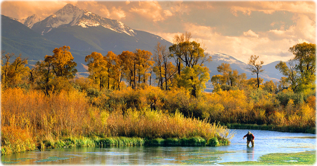 Flyfisherman