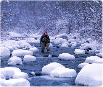 Hyalite Creek
