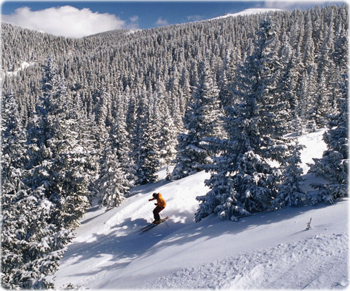 Ski