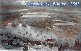 Central Park Winter