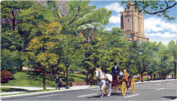 NY Central Park