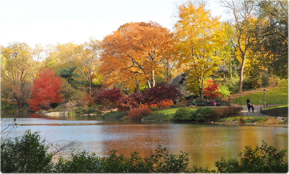 Autumn New York