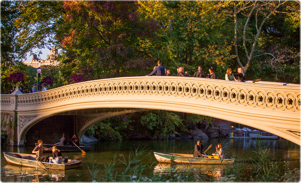 Bridge Central Park
