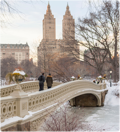 Bridge Central Park